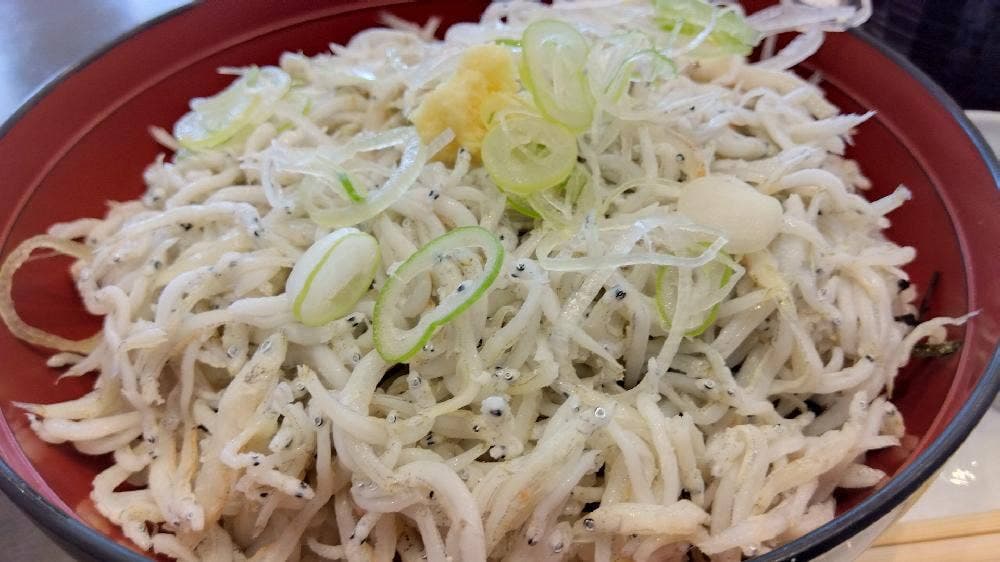 樹空の森レストラン