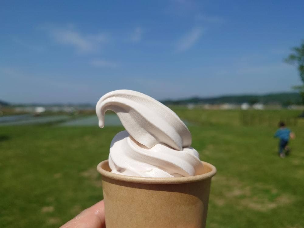 道の駅ましこ ましこのごはん