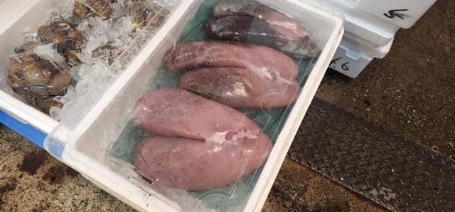 古川市場 のっけ丼 青森魚菜センター本店 - サブ画像2