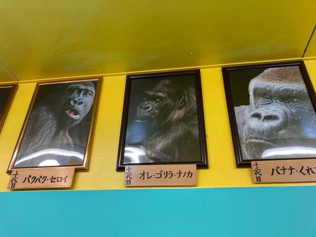 ゴリラによる人間のためのバナナジュース - サブ画像3