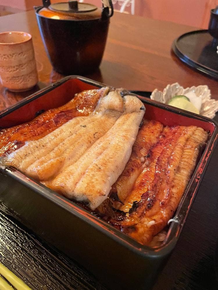 活うなぎ 橋本