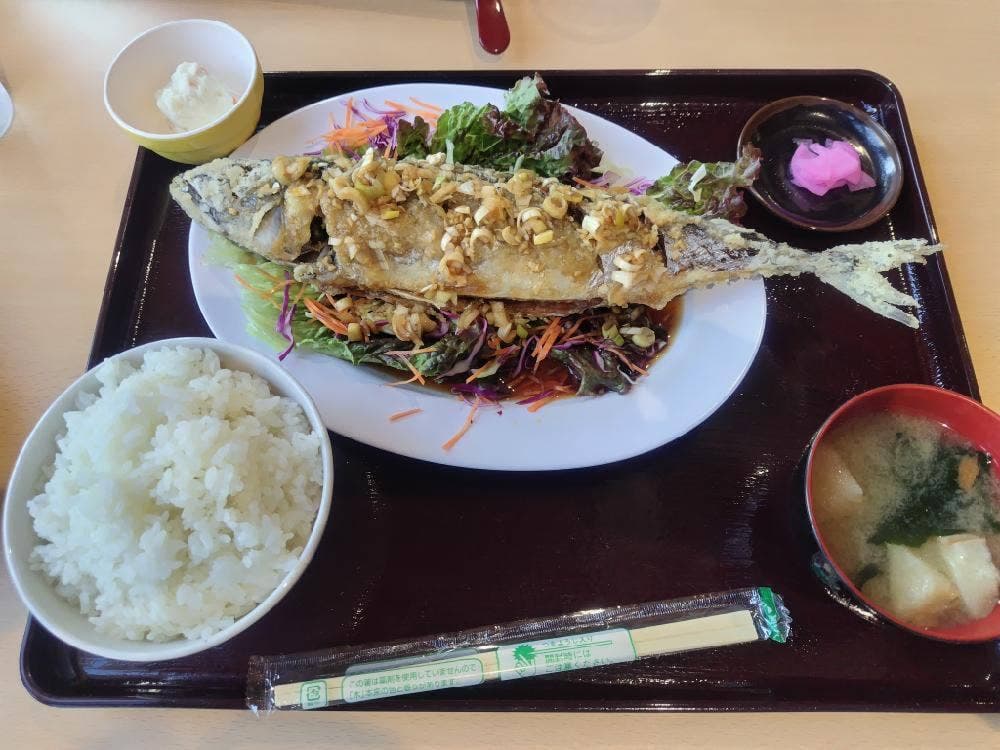 おなかいっぱい 食堂みょうこう