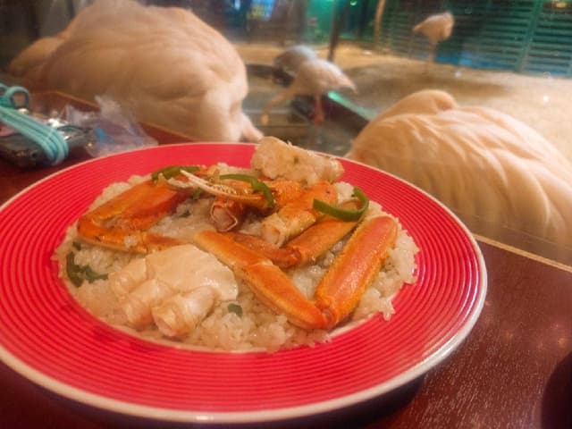 メヒコ 水戸フラミンゴ館 - サブ画像1