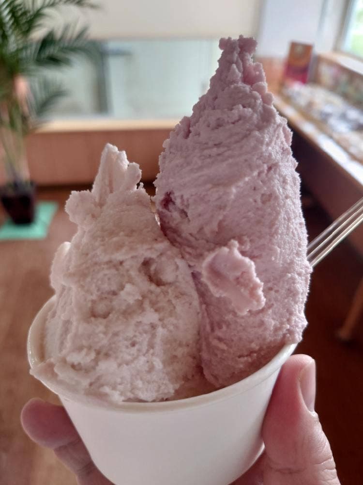 ジェラート シレトコ