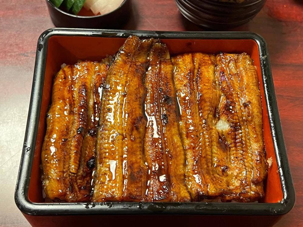 うな菊