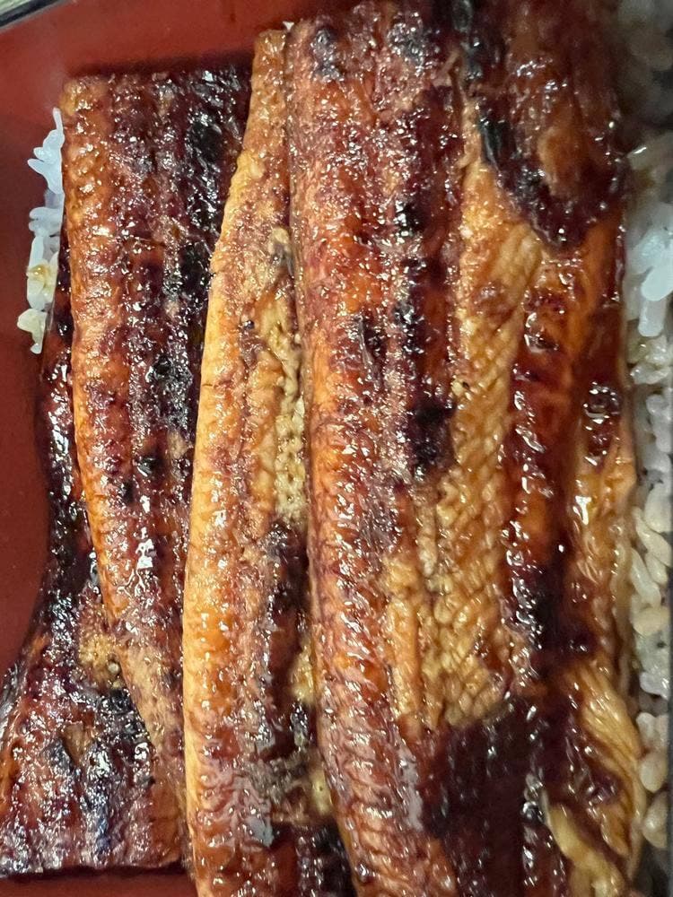 鰻 稲川