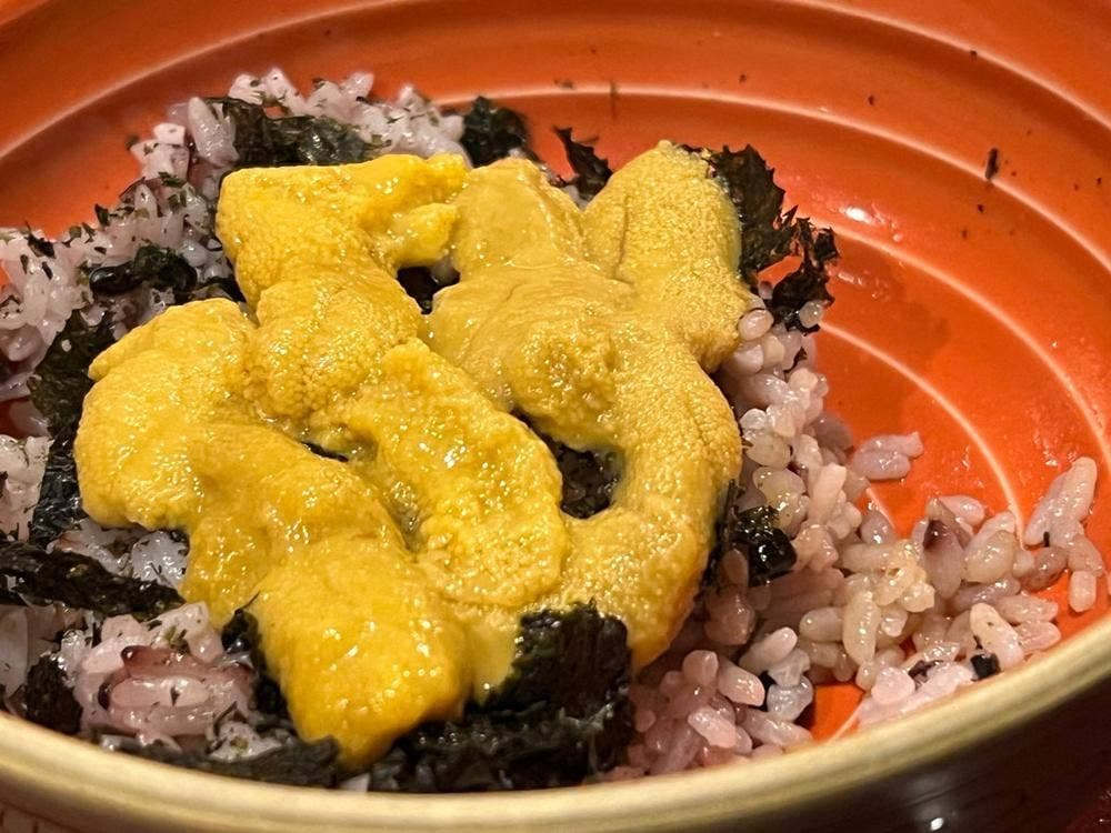 月夜のうさぎ