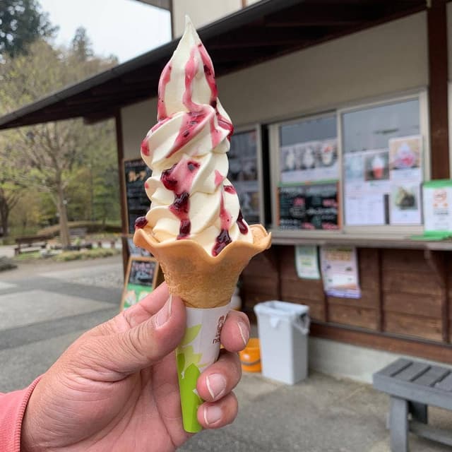 道の駅 霊山たけやま - サブ画像3