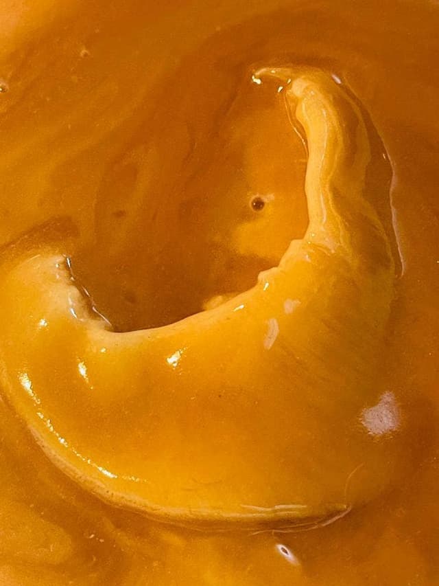 中国料理 天廣堂 - サブ画像2