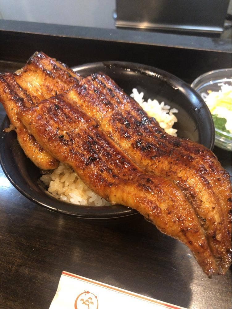 仙見