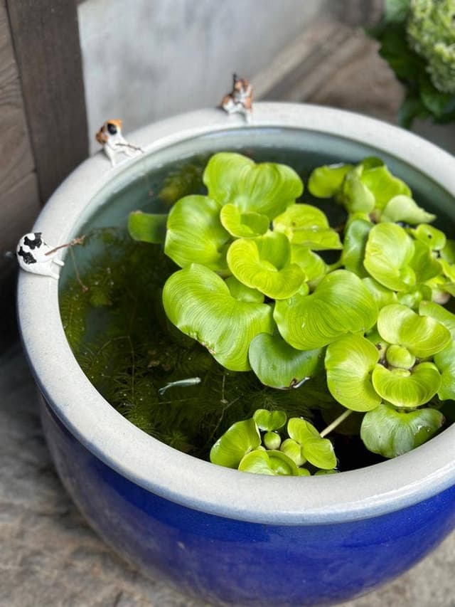 そば処・宿泊 草太郎庵 - サブ画像2