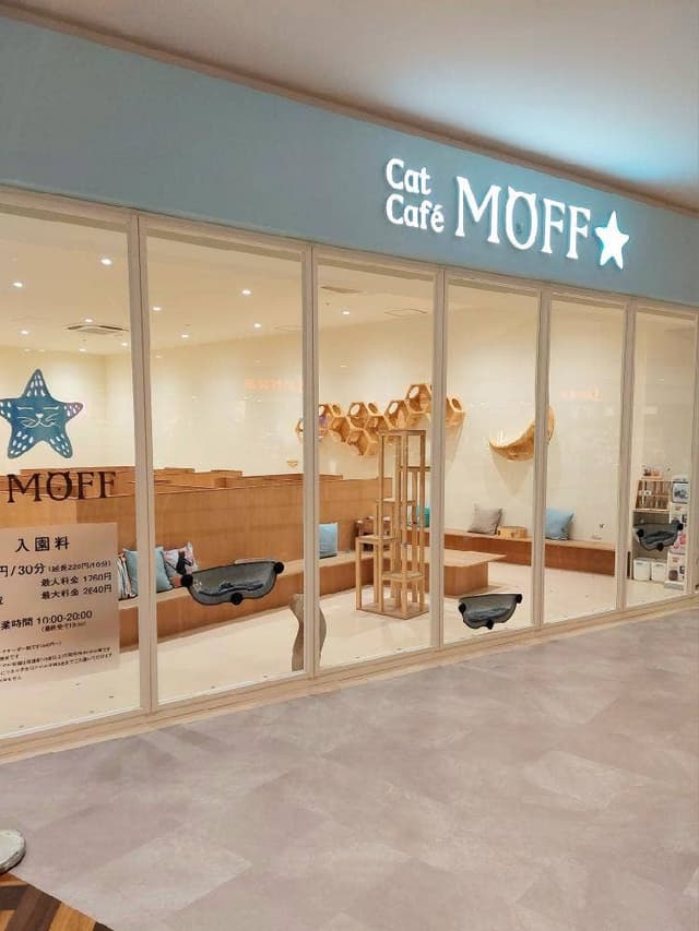 CatCafeMOFFイオンモール豊川店 - サブ画像1