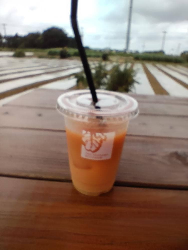 畑の中のジューススタンド ベルファームつくば