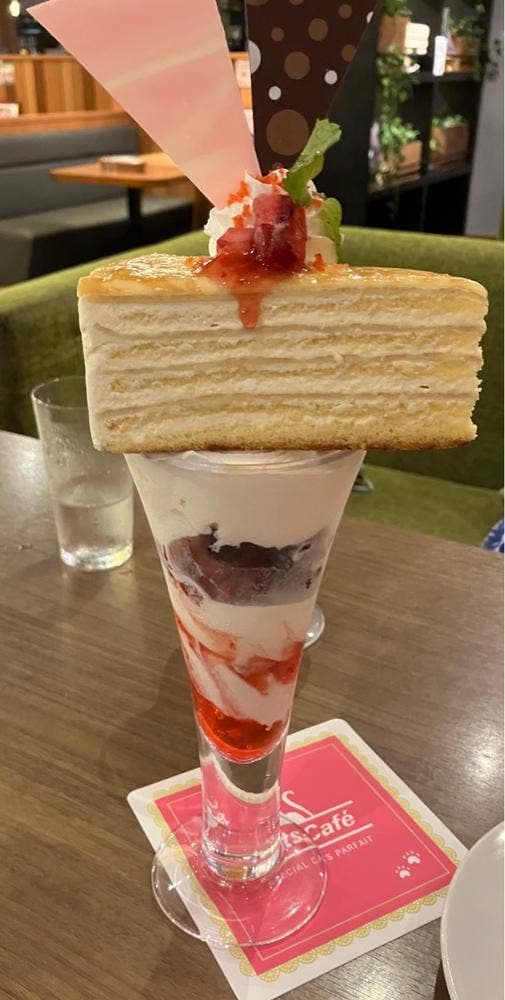 キャッツカフェ港店 - サブ画像1