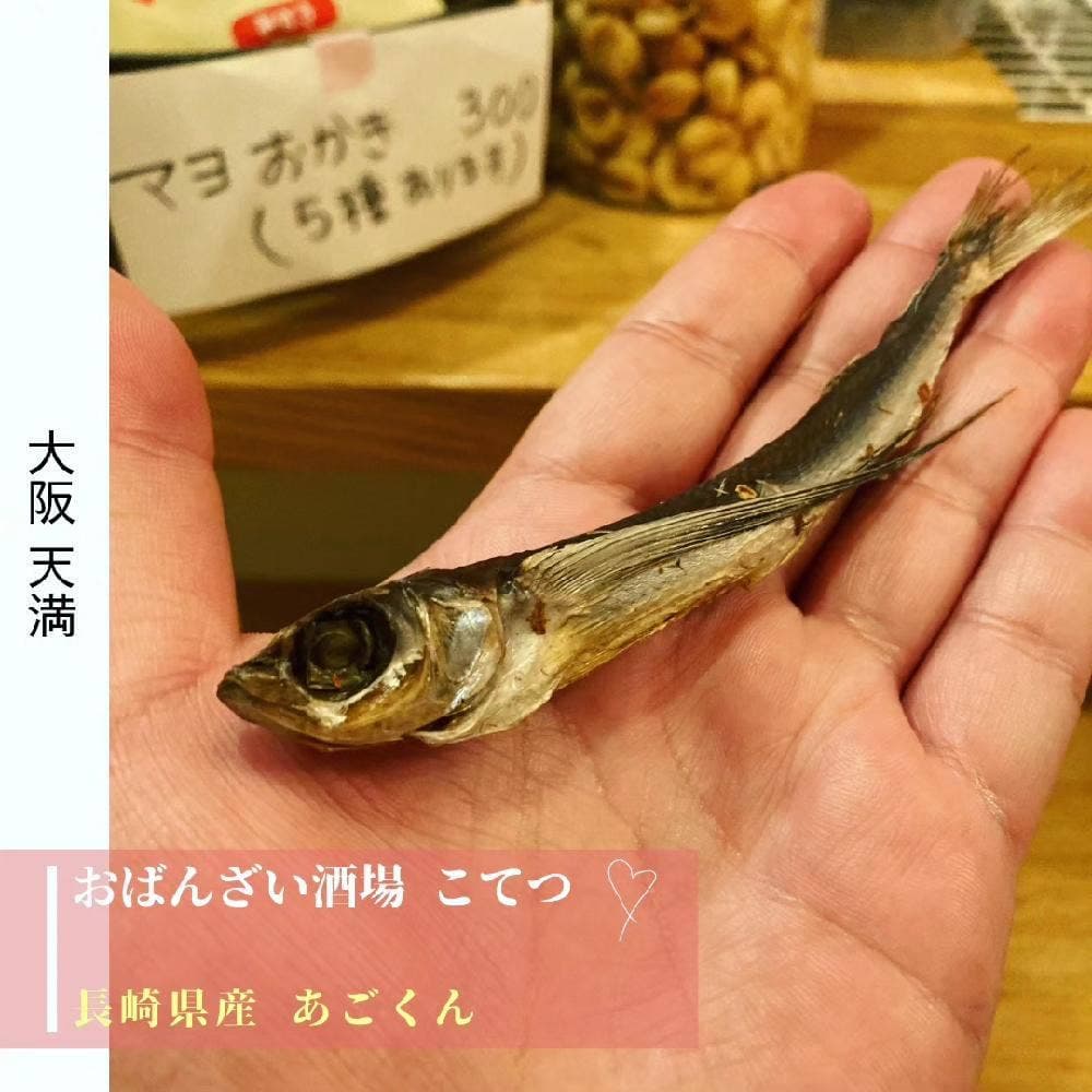 おばんざい酒場 こてつ
