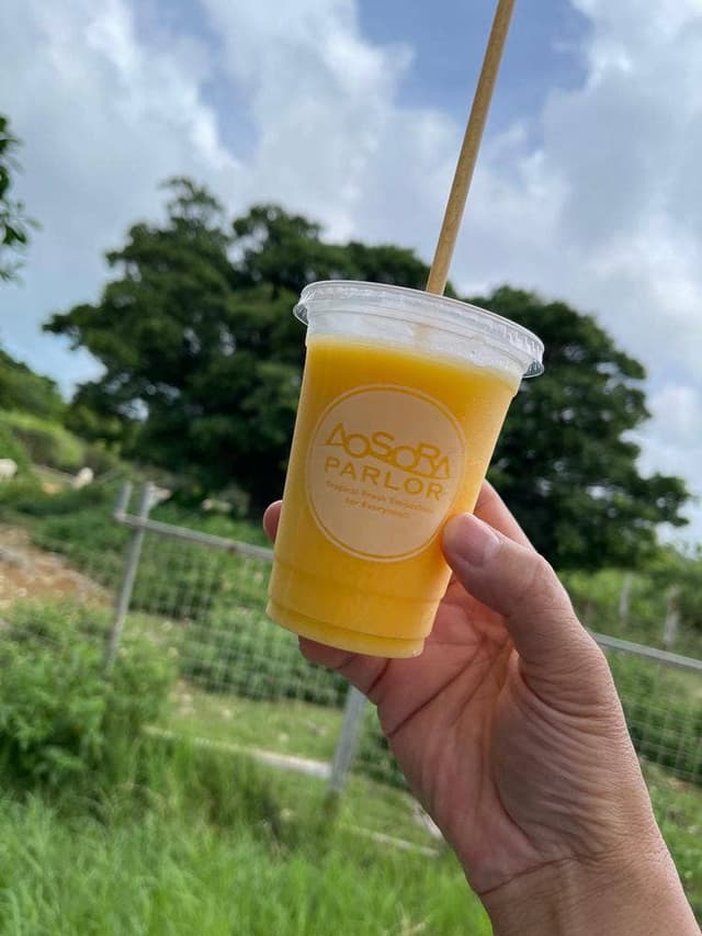 Aosoraパーラー - サブ画像1