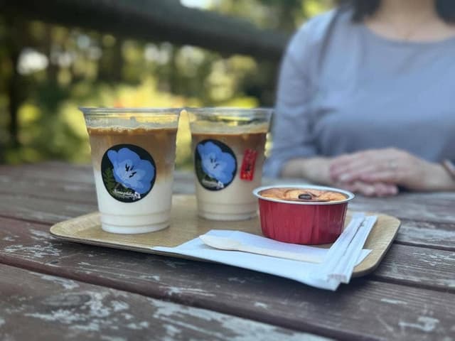 記念の森レストハウス - サブ画像3