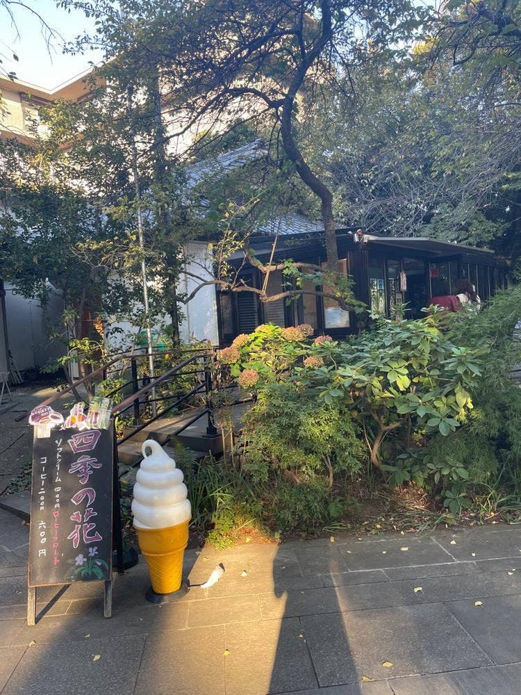 四季の花
