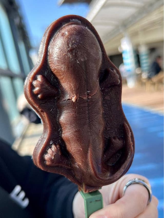 かいじゅうカフェ 京都水族館 - サブ画像3