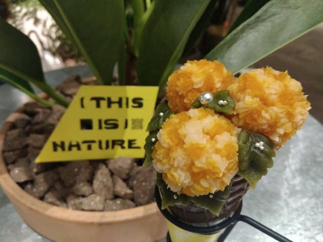 THIS IS NATURE - サブ画像1