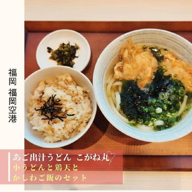 あご出汁うどん こがね丸 福岡空港 - サブ画像2