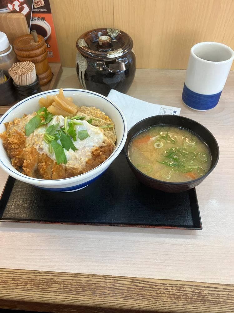 かつや 愛知勝川インター店