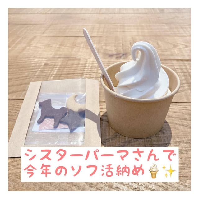 シスターパーマ - サブ画像1
