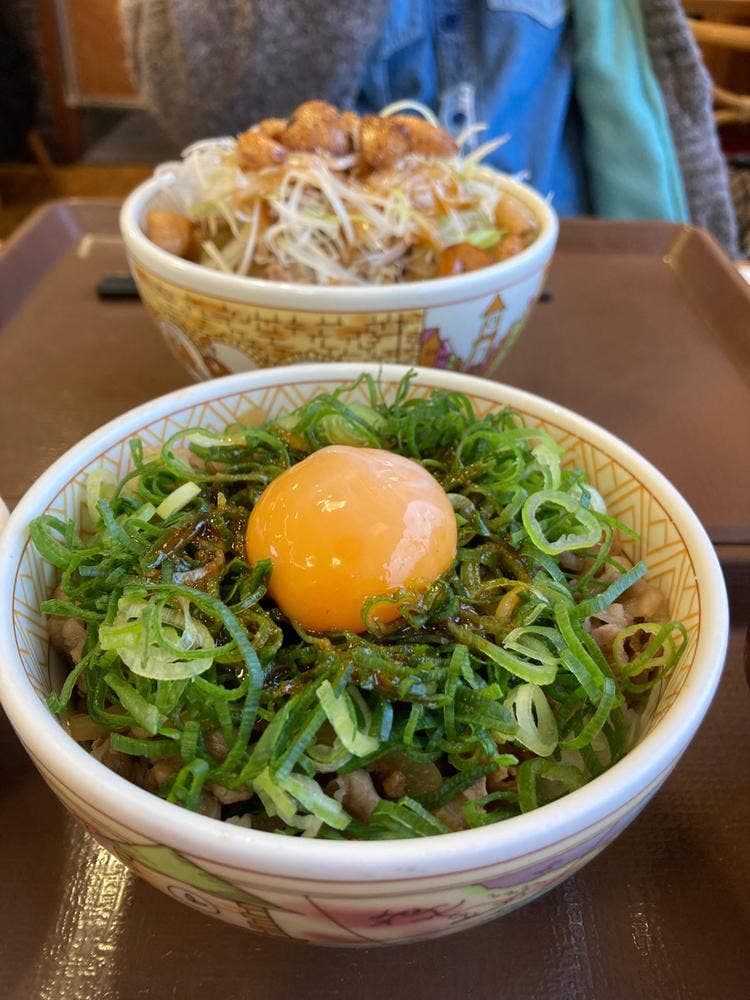すき家 石巻あけぼの店