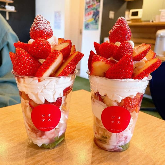 ソオタス シバタベリーファーム - サブ画像1