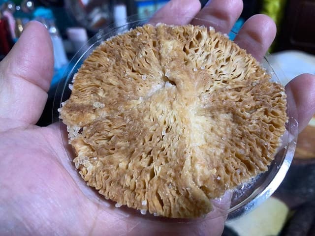 ガトウ専科 夏花火館 - サブ画像1