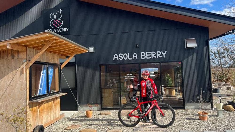 ASOLA BERRY