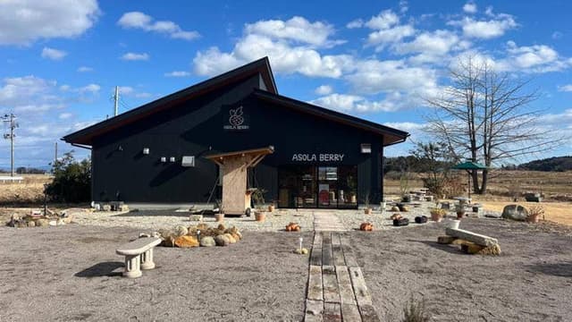 ASOLA BERRY - サブ画像1