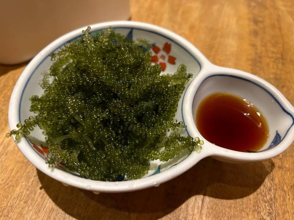 きちんと 橋本店