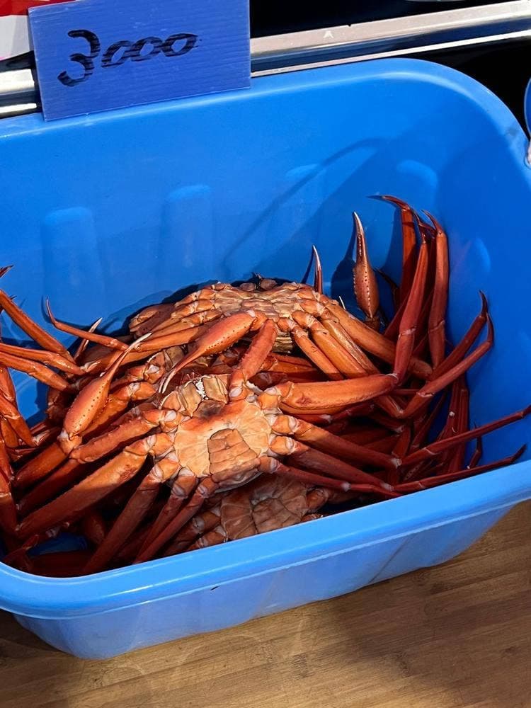 新湊きっときと市場