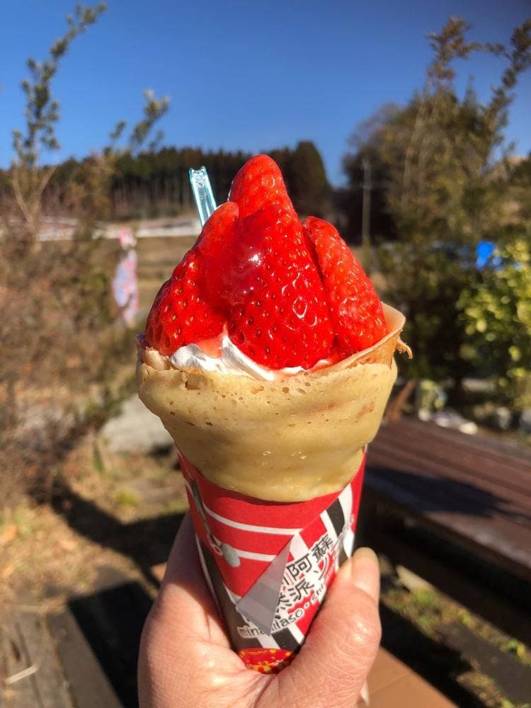 南阿蘇・自然派ソフト