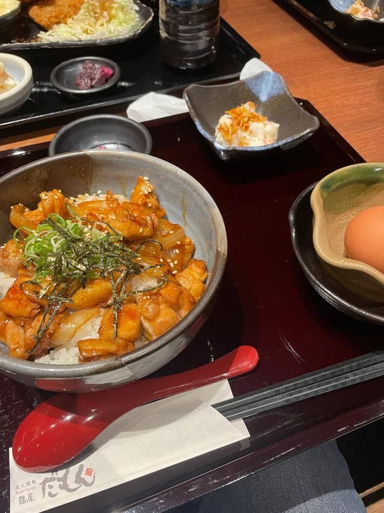 炭火焼鳥 鶏屋だもん 門真店