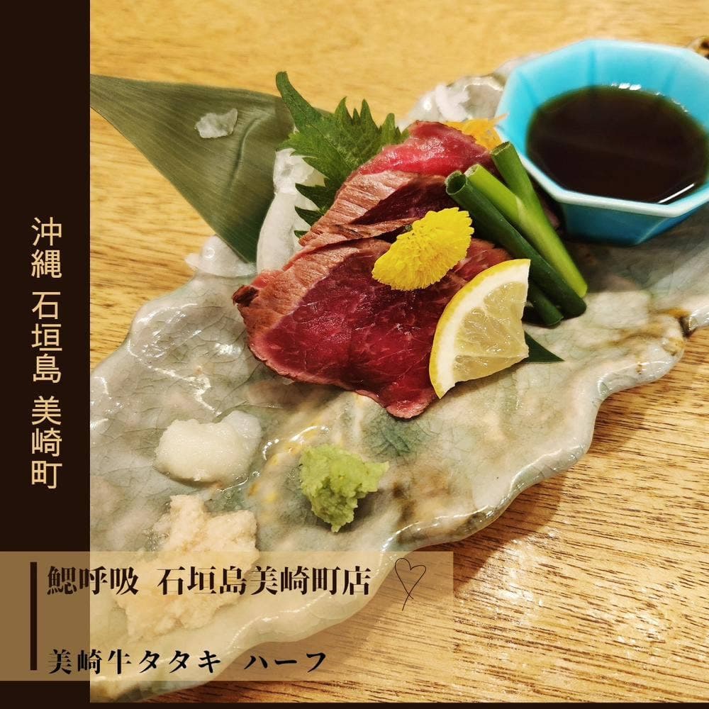 鰓呼吸 石垣島美崎町店