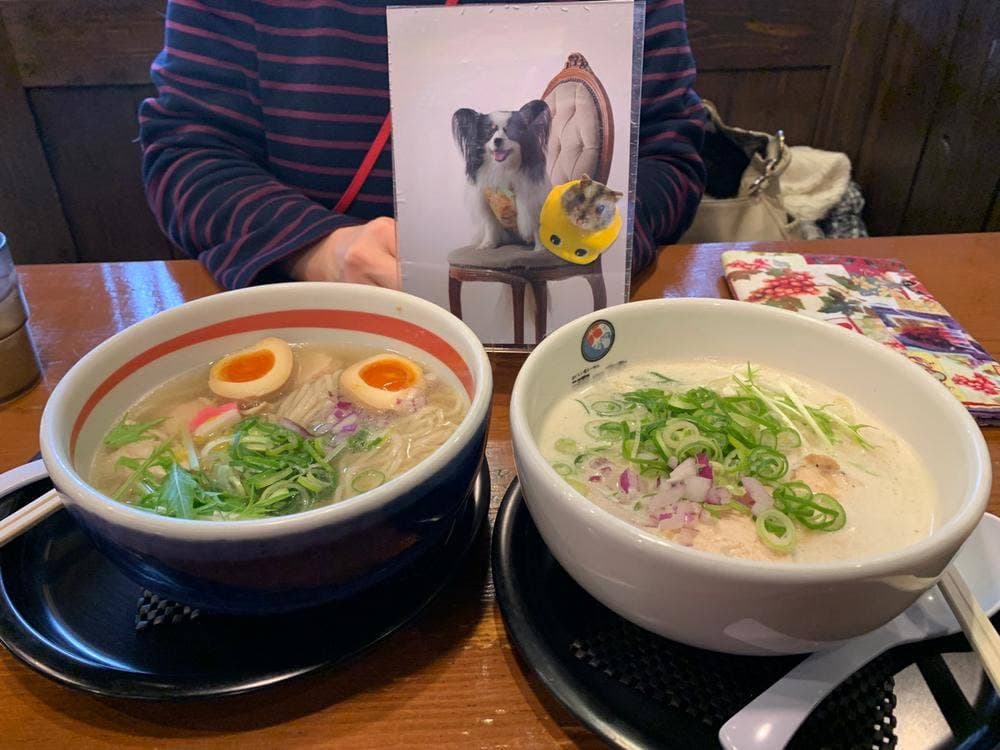 おいしい塩らーめん 波の花 亀岡店