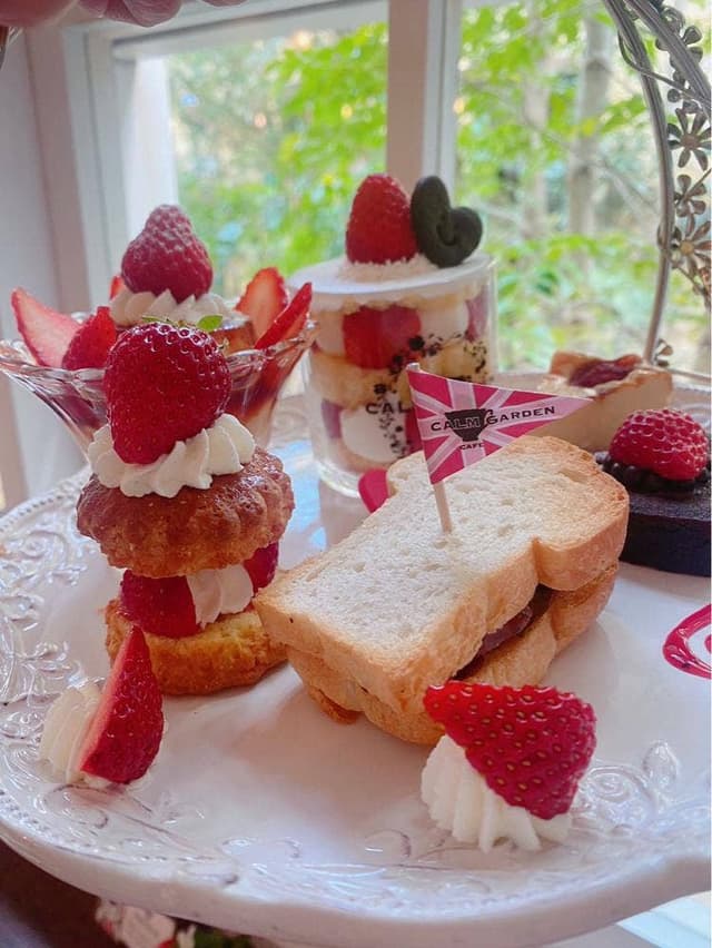 CALM GARDEN - サブ画像3