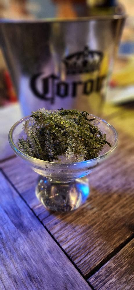 沖縄酒場 きじむな〜の森 タグボート大正 - サブ画像1