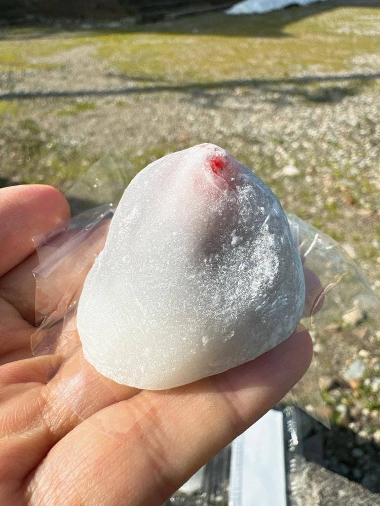 丸屋松月堂