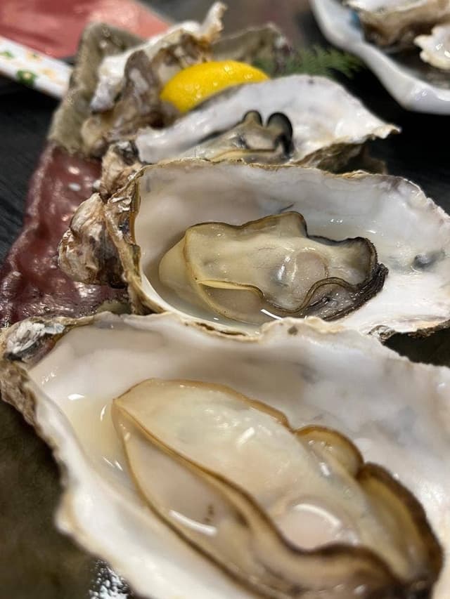鳥羽一番街飲食店味佐々 - サブ画像1