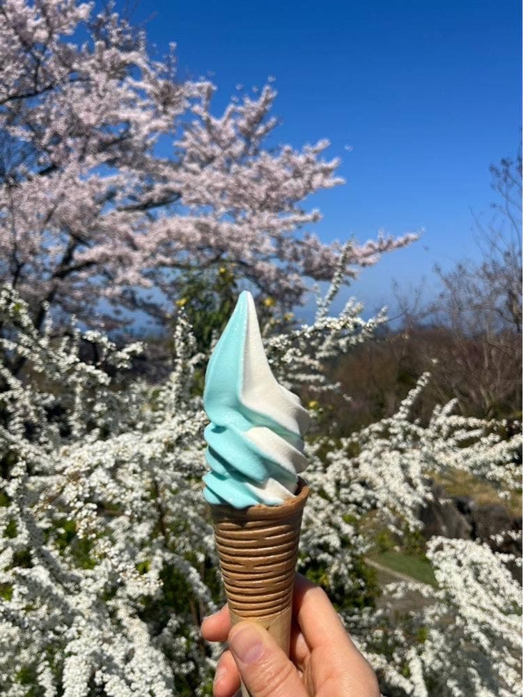 レインボーカフェ