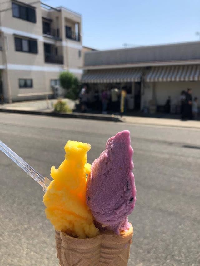 G.エルム - サブ画像3