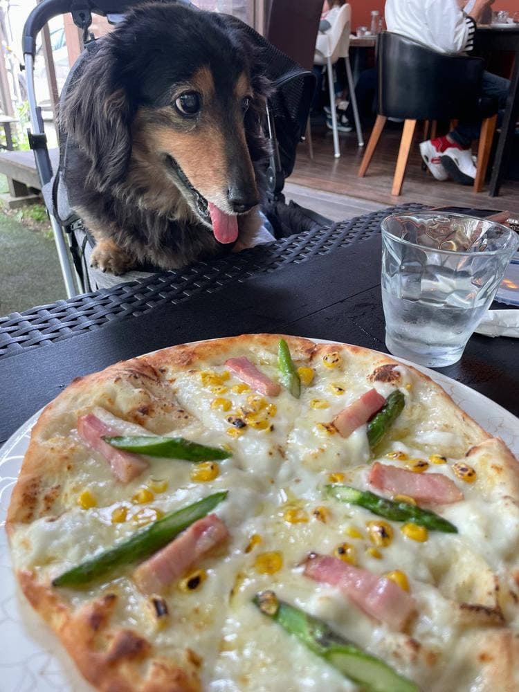 リラクゼーションカフェシャンドゥルール