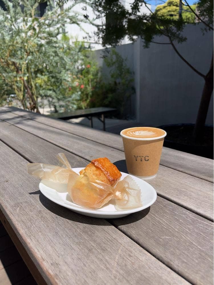 YOUNG TREES COFFEE