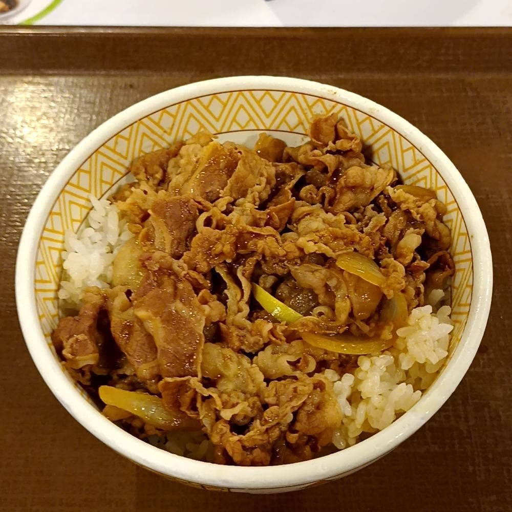 すき家 9号松江西津田店