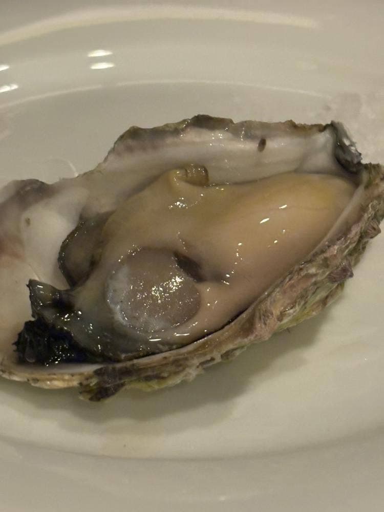 Oysterbar W