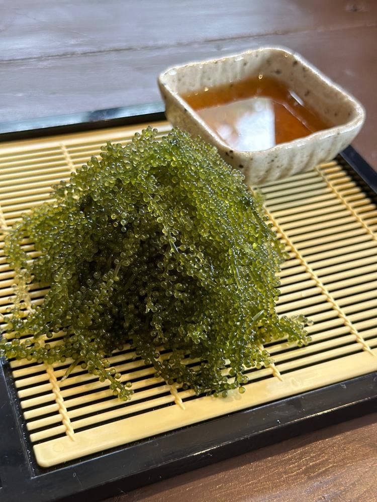 びじゃし
