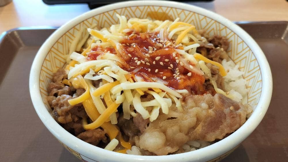 すき家 331号南城店